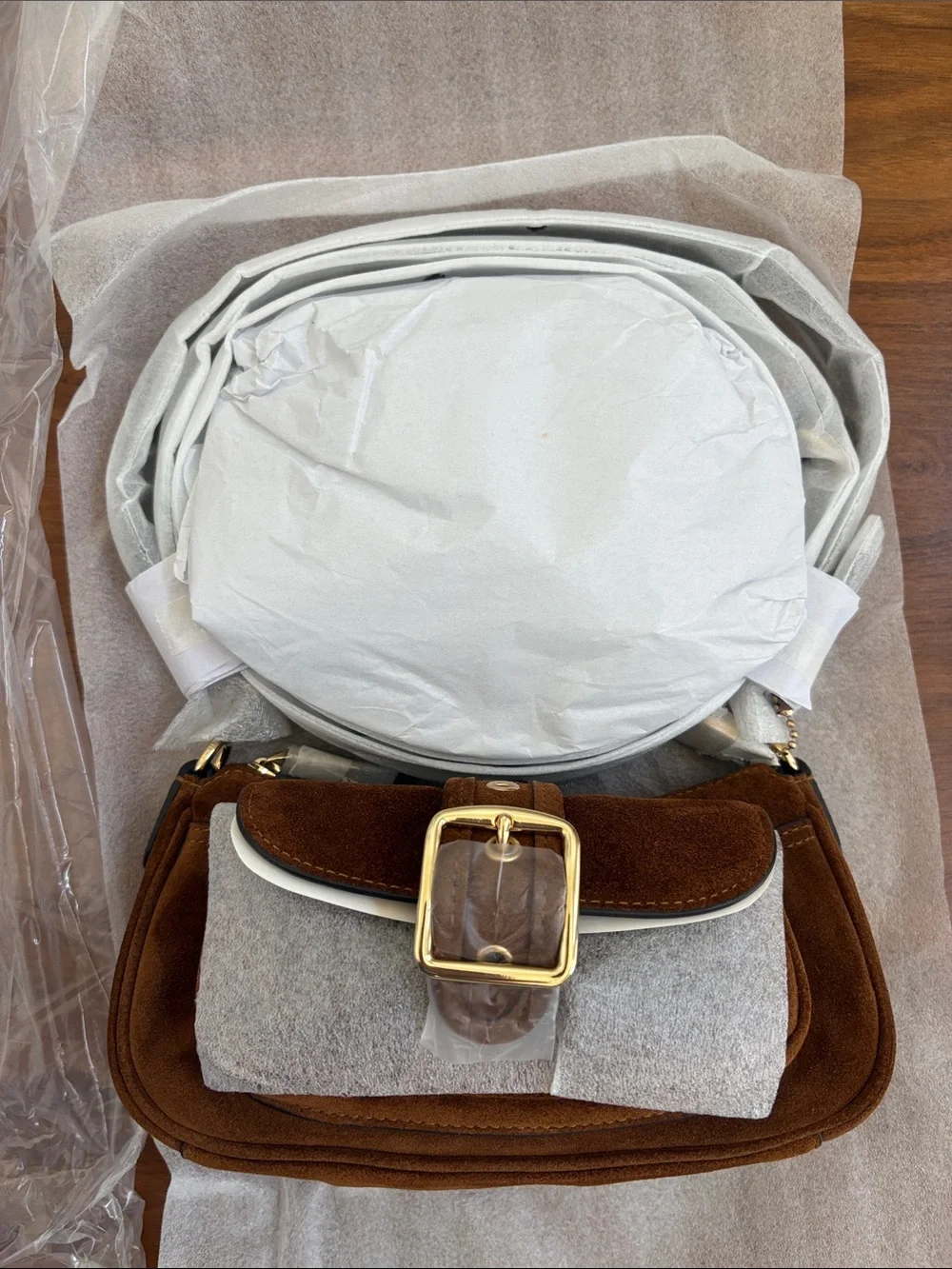 NEW! Coach Ashton Suede Mini Shoulder Bag Crossbody Purse